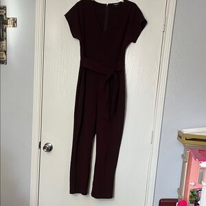Express Deep Burgundy Jumpsuit